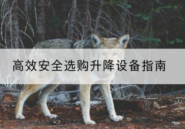 长清升降货梯厂家推荐-*安全选购升降设备指南