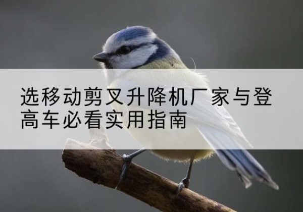 长清电动升降机厂家-选移动剪叉升降机厂家与登高车必看实用指南