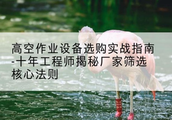 长清剪叉式升降机厂家-高空作业设备选购实战指南-十年工程师揭秘厂家筛选核心法则